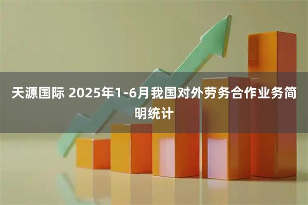 天源国际 2025年1-6月我国对外劳务合作业务简明统计
